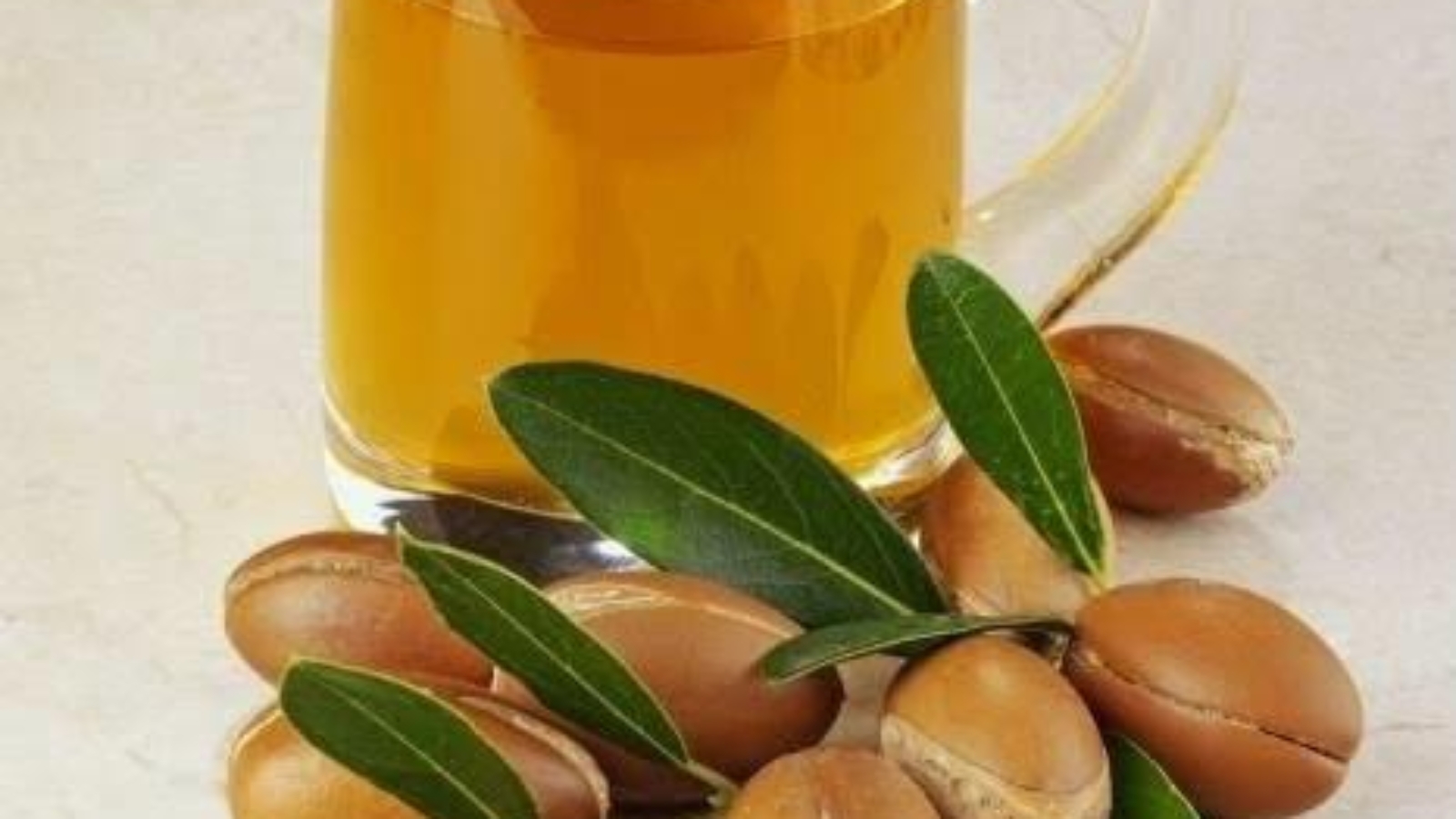 Benefits Of Argan (Argania Spinosa) For Health (1)